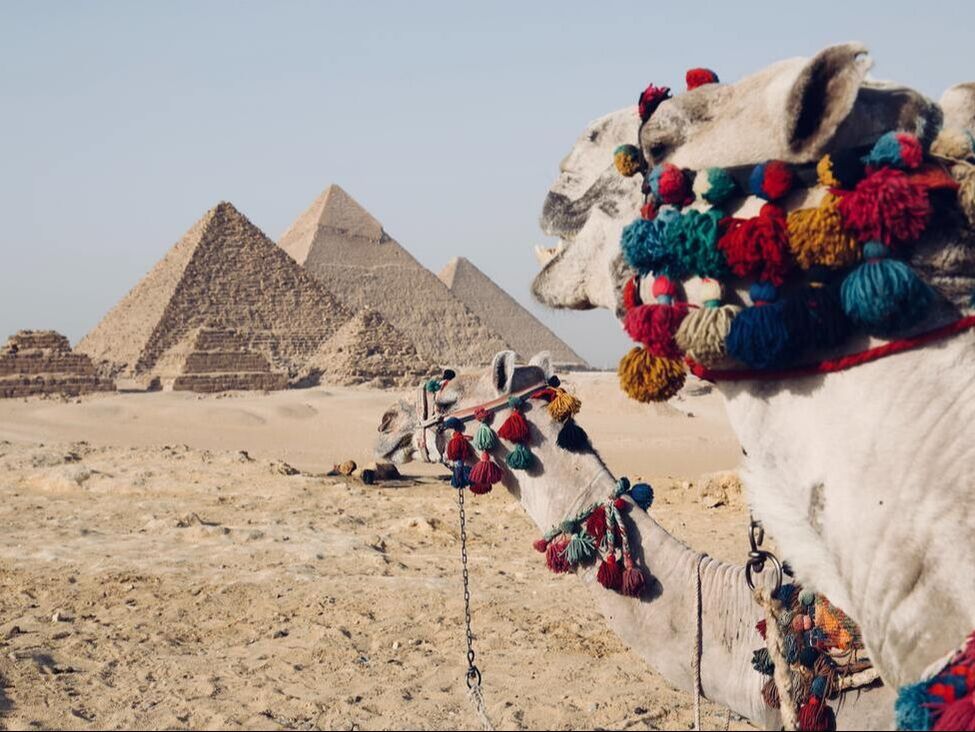 Egypt pyramid camels
